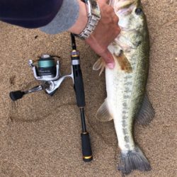 いきなり来た‼︎