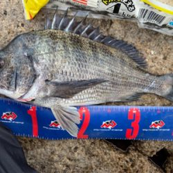 玉野 六郎島 沖磯フカセ