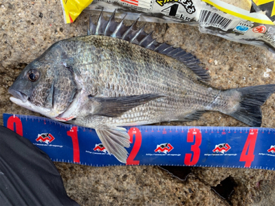 玉野 六郎島 沖磯フカセ