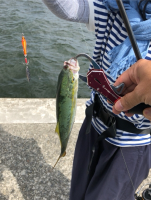 マズメはずしのデイゲーム