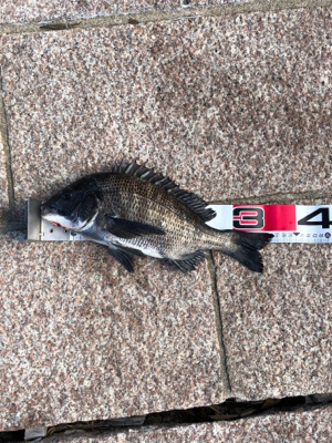 釣り馬鹿日和7日目