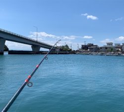 三日越しの、淡路撃沈の、結局。