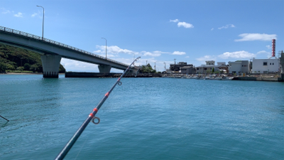 三日越しの、淡路撃沈の、結局。