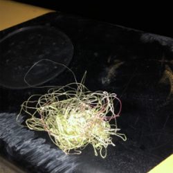 ふらっとフラットフィッシュ