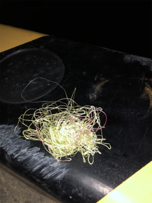 ふらっとフラットフィッシュ