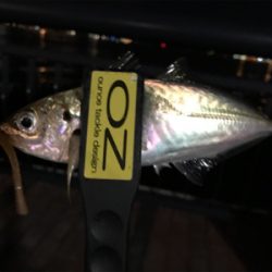 NEWロッドに鱗付け