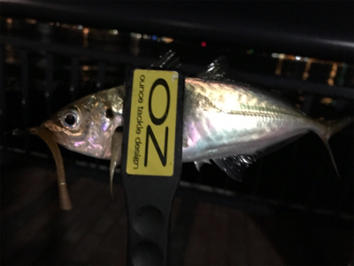 NEWロッドに鱗付け