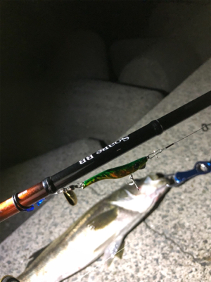 メタルマルハンパないって!