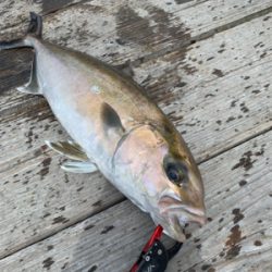 釣堀水宝さんにて