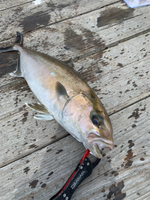 釣堀水宝さんにて