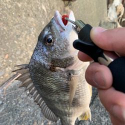 夕方からチニング