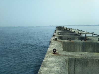 アジ、後にもじゃこ。