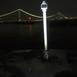 久々の淡路釣行