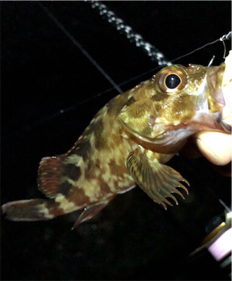 リトルロックゲーム