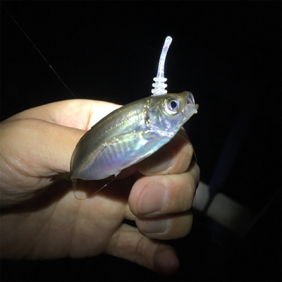 大阪湾奥アジング シブい