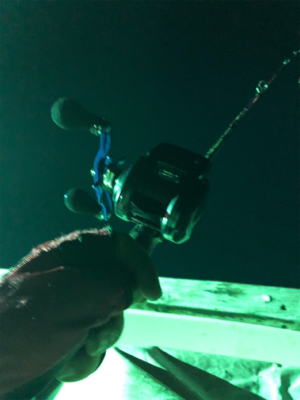 イカの群れゎいずこ？