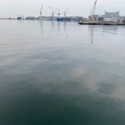 またツバスからの『?』と巨エイ