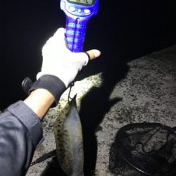 まさかの3日連続アオリGET (^^)v