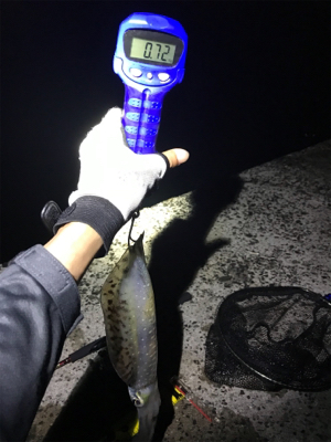 まさかの3日連続アオリGET (^^)v