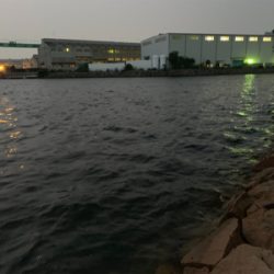 今日もいつもの