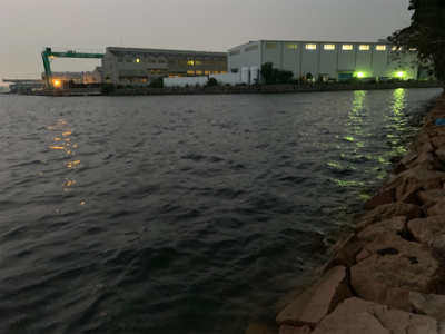 今日もいつもの