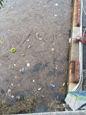 ジギングとサビキ