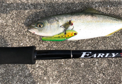 デイゲームでツバスとキビレ