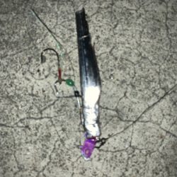 土用のタチウオ タッチポン