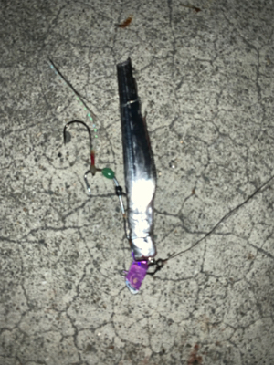 土用のタチウオ タッチポン