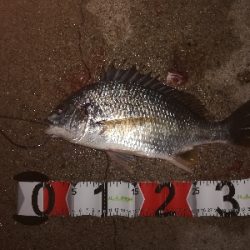 イソメのウキ釣り