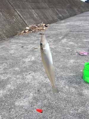 出張ついでで釣り