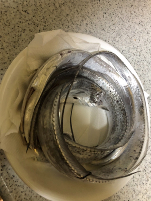 マリーナタチウオ