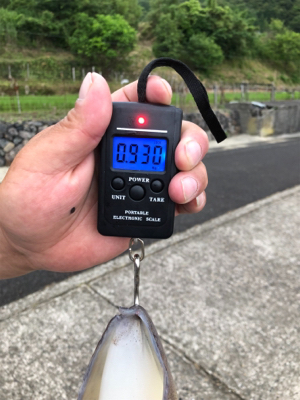 親父たちの釣行 舞鶴編