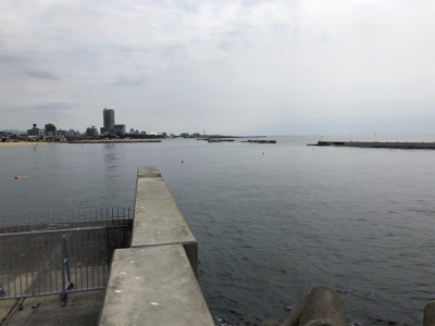 モジャコ 小魚相手にひどいことをしてしまった…