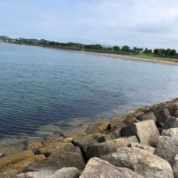 はじめてのキス釣り