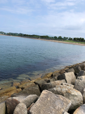 はじめてのキス釣り