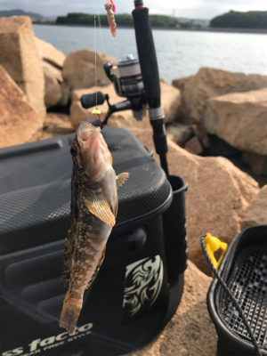 久しぶりのキス釣り(^^)