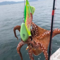 オクトパッシング