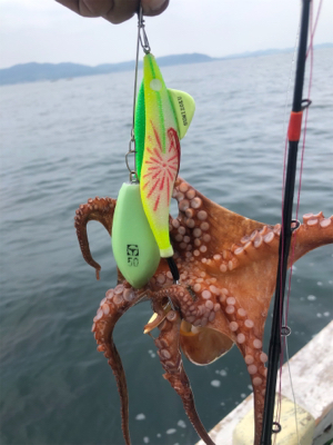 オクトパッシング