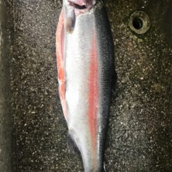 川場キングダム