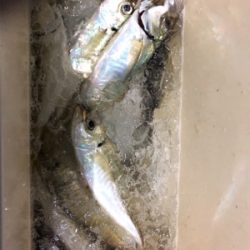 和歌山の友人と