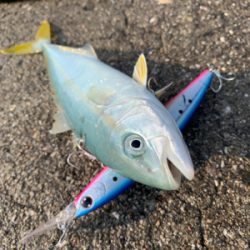 ちっちゃいなぁ、、、