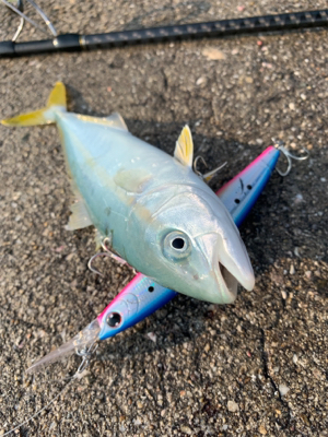 ちっちゃいなぁ、、、