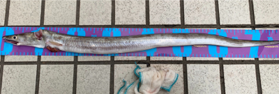 こんなの初めて(//∇//)