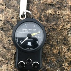 アオリイカ ２キロアップ