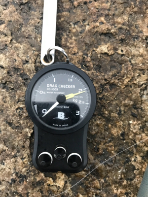 アオリイカ ２キロアップ