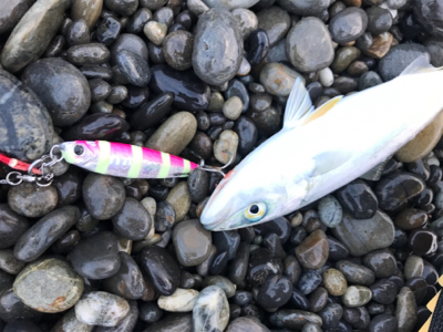 七里御浜ショアジギング