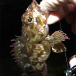 プラグロックゲーム