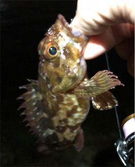 プラグロックゲーム