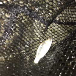 河口ライトゲーム